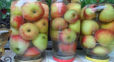 Обалденные моченые яблоки: закрываем бабушкино лакомство в банки