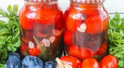 Маринованные помидоры со сливами: продолжаем сезон заготовок
