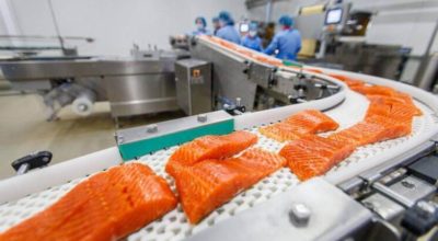 Раскрываем страшную правду: Норвежский лосось — самая токсичная еда в мире